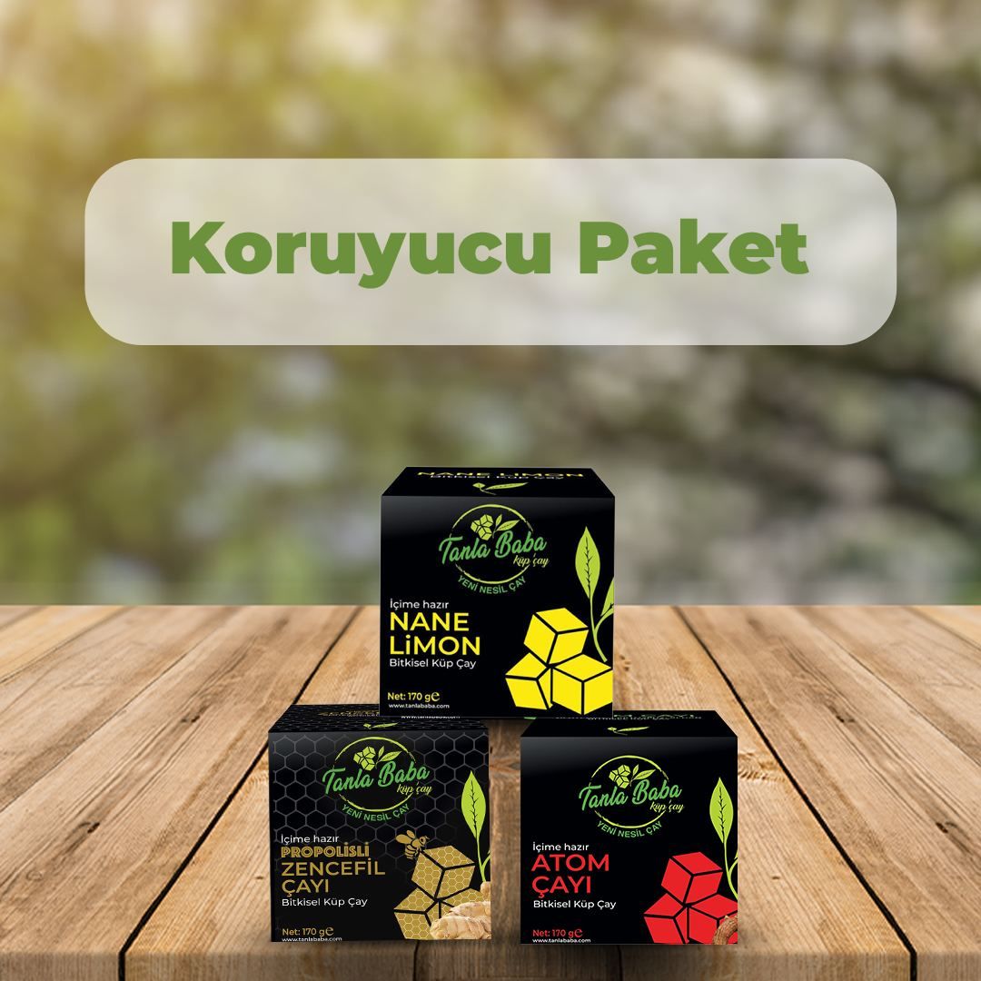Koruyucu Paket