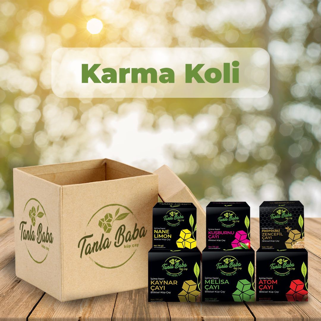 KARMA KOLİ
