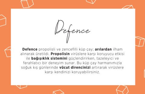 DEFENCE Zencefil Küp Çayı