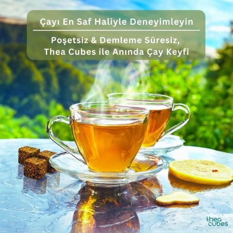 DEFENCE Zencefil Küp Çayı