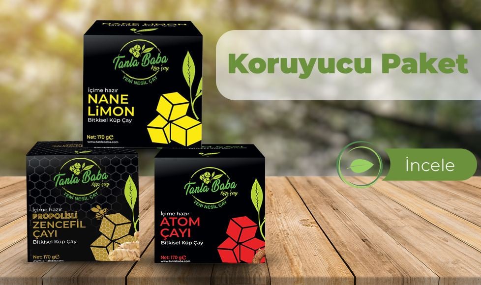 Koruyucu Paket